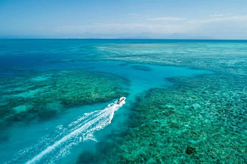 Cairns: Outer and Coral Cay Snorkel and Dive Cruise - An Authentic Day on the Great Barrier Reef