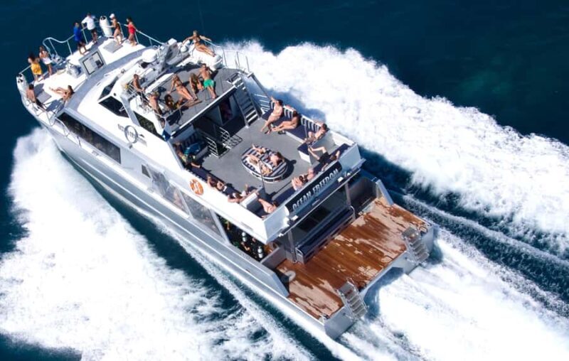 Cairns: Outer and Coral Cay Snorkel and Dive Cruise - Pricing and Value