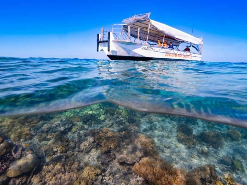 Cairns: Outer Great Barrier Reef Pontoon with Activities - Practical Tips for Making the Most of Your Reef Day