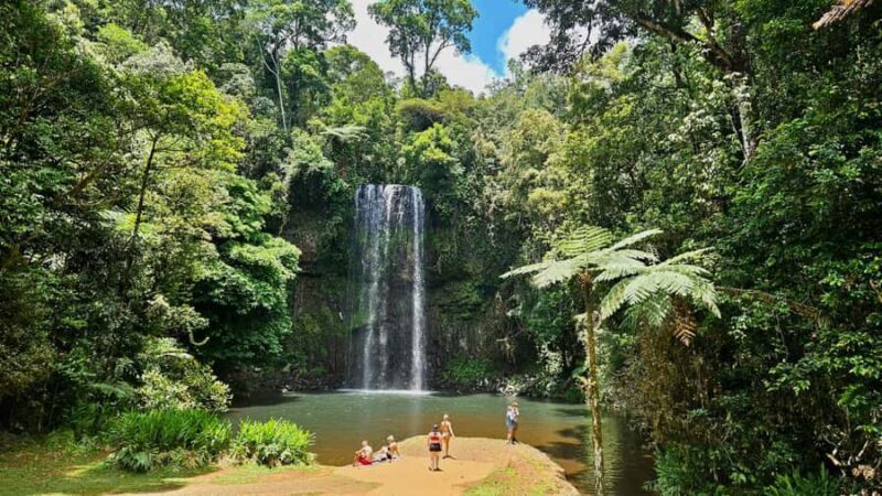 Cairns: Paronella, Lake Barrine & Millaa Millaa Falls Tour - Key Points