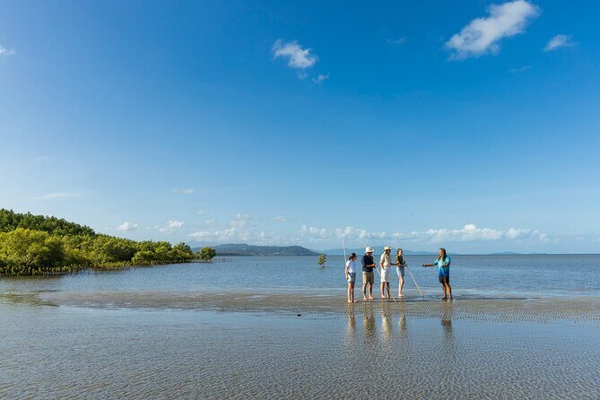 Cairns Paronella Park Herberton and Wild life Tour - Who Should Consider This Tour?