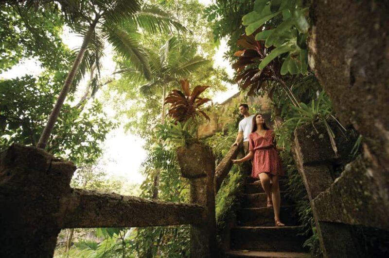 Cairns: Paronella Park Rainforest Full-Day Tour with Dinner - Who Should Consider This Tour?