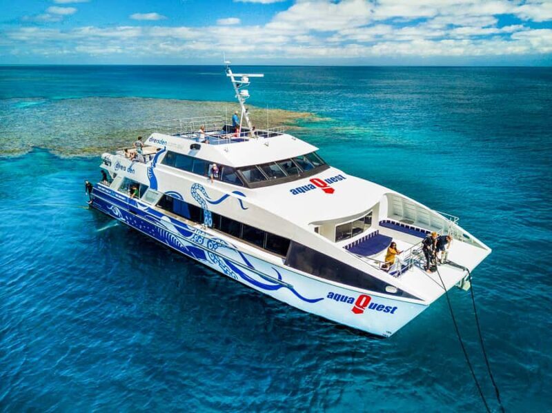 Cairns: Premium Snorkelling and Diving Reef Day Trip - First Reef Site: Up to 5 Hours of Marine Exploration