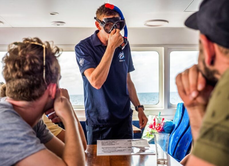 Cairns: Premium Snorkelling and Diving Reef Day Trip - Return Journey & Overall Comfort