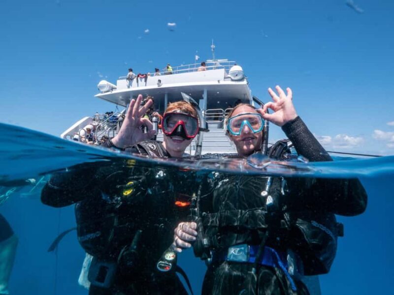 Cairns: Premium Snorkelling and Diving Reef Day Trip - Price & Value
