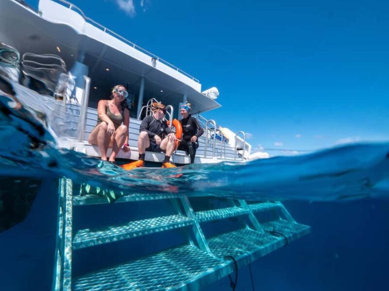 Cairns: Premium Snorkelling and Diving Reef Day Trip - Not suitable for wheelchair users or those with mobility challenges, as the tour has some physical limitations and specific safety restrictions.