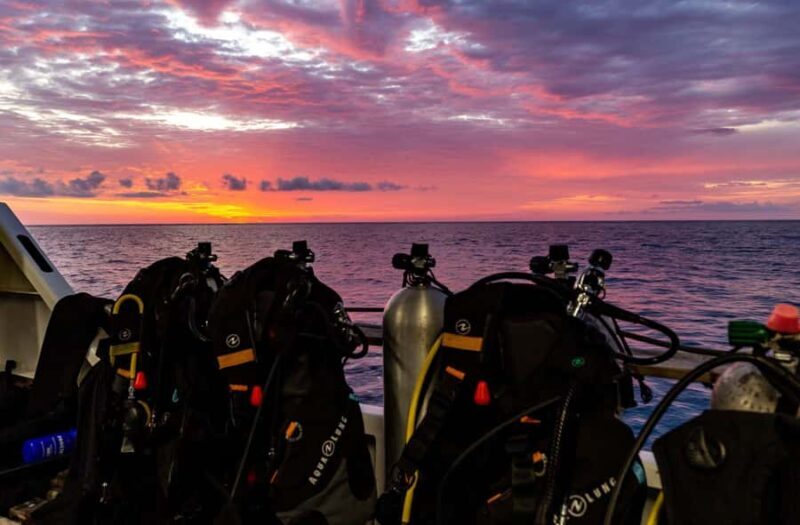 Cairns: Pro Dive 5 Day Learn to Dive Great Barrier Reef - FAQ