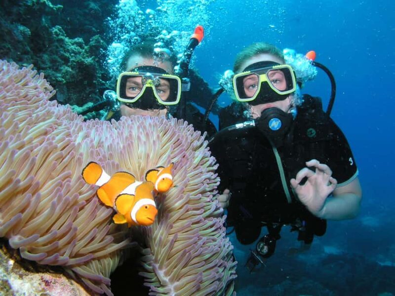 Cairns: Pro Dive Great Barrier Reef 3 Day/2 Night Dive Trip - FAQ