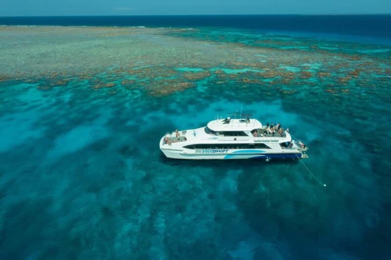 Cairns: Silverswift 3 Great Barrier Reef Sites in 1 Day - Key Points