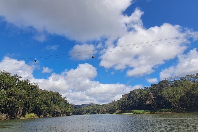 Cairns Small-Group Kuranda Tour: Skyrail & Scenic Railway - Authentic Feedback from Past Travelers