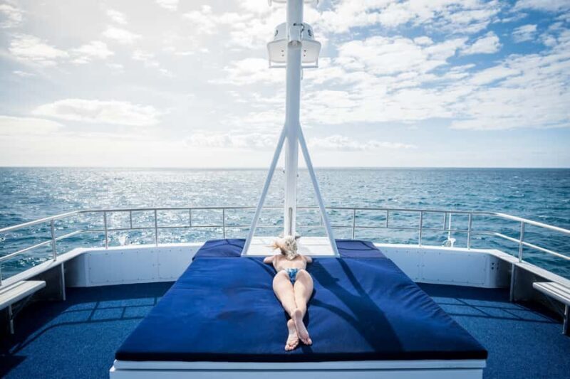 Cairns: Snorkelling and Diving Reef Day Trip - Frequently Asked Questions