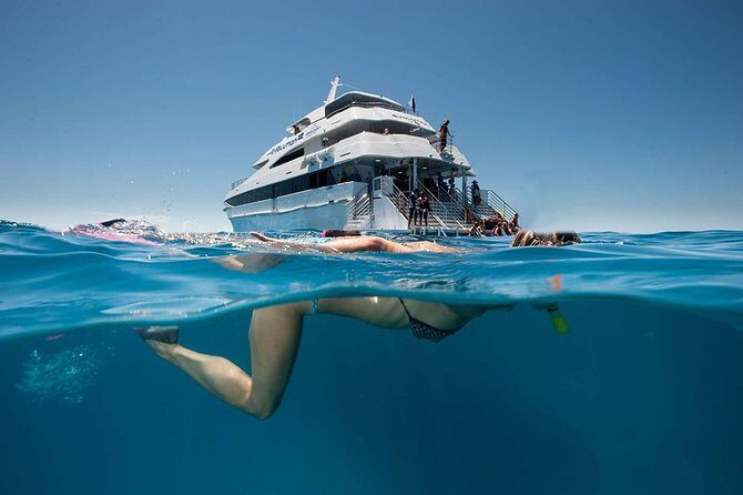 Cairns Super Saver: Reef Cruise, Daintree & Kuranda Rail/Skyrail - What’s Included and What’s Not