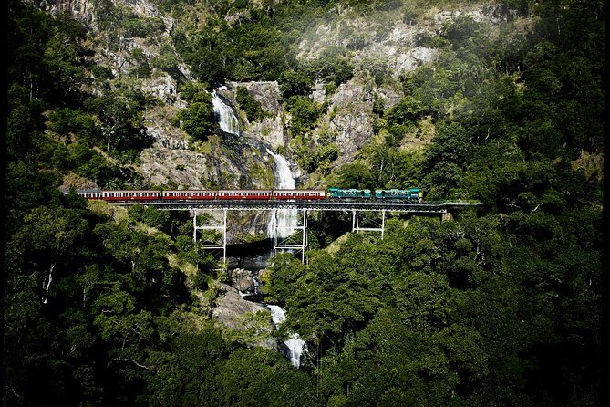 Cairns Super Saver: Reef Cruise, Daintree & Kuranda Rail/Skyrail - The Value Proposition