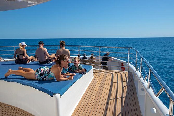 Cairns Super Saver: Reef Cruise, Daintree & Kuranda Rail/Skyrail - Frequently Asked Questions