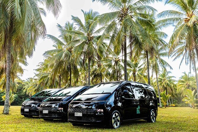 Cairns to Port Douglas ONE WAY Private Transfer 6 pax - Price and Value: Is It Worth It?