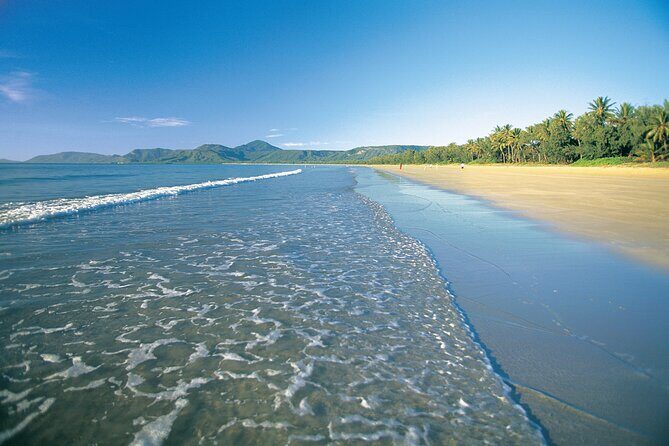 Cairns to Port Douglas ONE WAY Private Transfer 6 pax - Authentic Experiences and Real Traveler Feedback