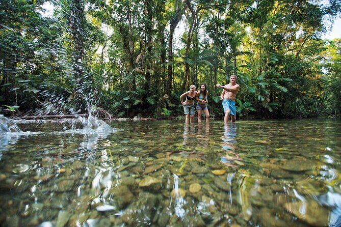 Cairns to Silky Oaks ONE WAY Private Transfer 6 pax - How This Transfer Compares to Other Experiences