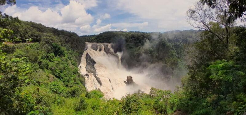 Cairns: Waterfall, Wetlands and Skyrail - An In-Depth Look at the Itinerary and Highlights