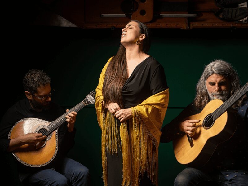 Cais de Gaia: Intimate Fado Performance Overlooking Porto - The Practical Side: Price, Accessibility, and Tips
