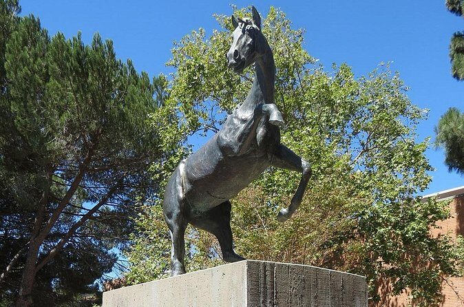 Cal Poly Scavenger Hunt and Escape Game - FAQ