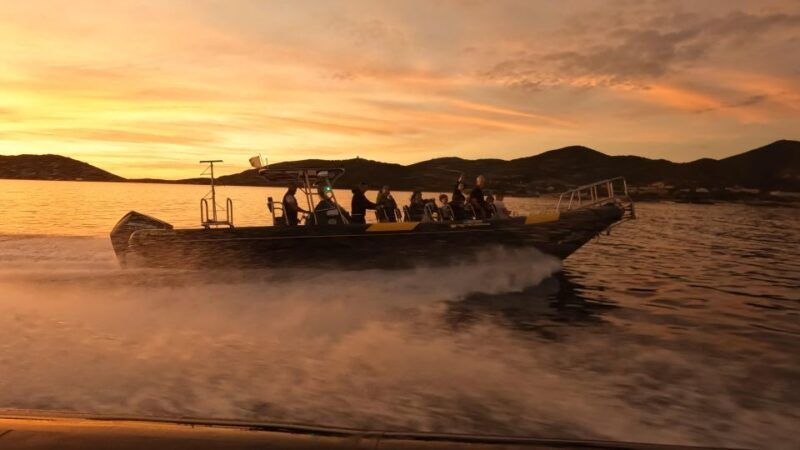 Cala d'Orzu Sunset, Cacoa and Snorkeling - Key Points