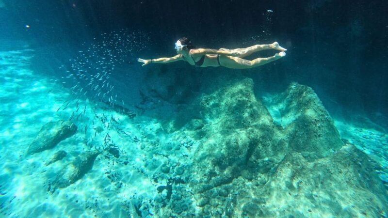 Cala Gonone: Snorkeling in the Orosei Gulf - The Itinerary in Detail