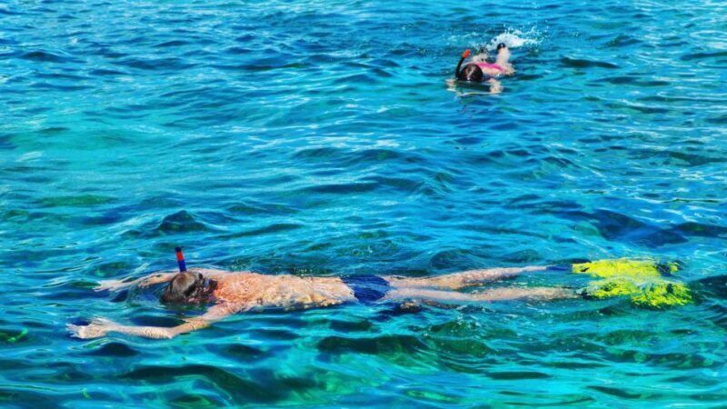 Cala Gonone: Snorkeling in the Orosei Gulf - Price and Value