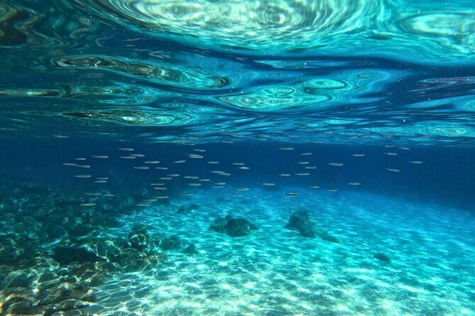 Cala Gonone Snorkeling in the Orosei Gulf - The Sum Up