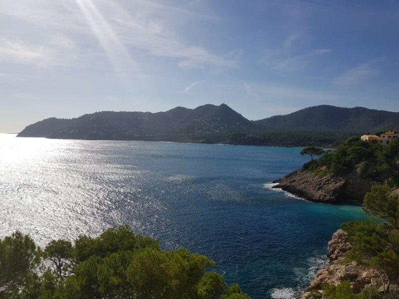 Cala Millor / Sa Coma: Half-Day Mini Jeep Tour - Practical Details & Considerations