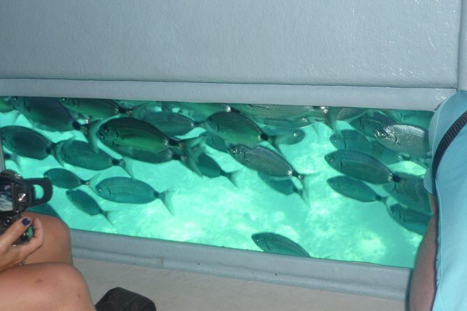 Cala Murtra: Enjoy the beauty of an underwater world - Who Is This Tour Perfect For?