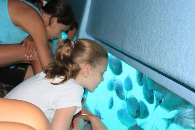 Cala Murtra: Enjoy the beauty of an underwater world - The Sum Up