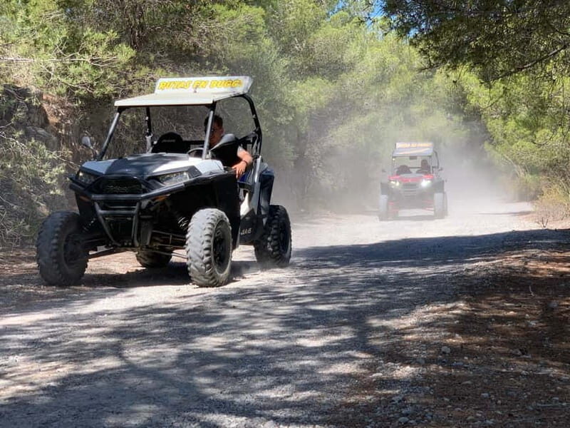 Cala Ratjada: Exclusive buggy tour also for families - Key Points