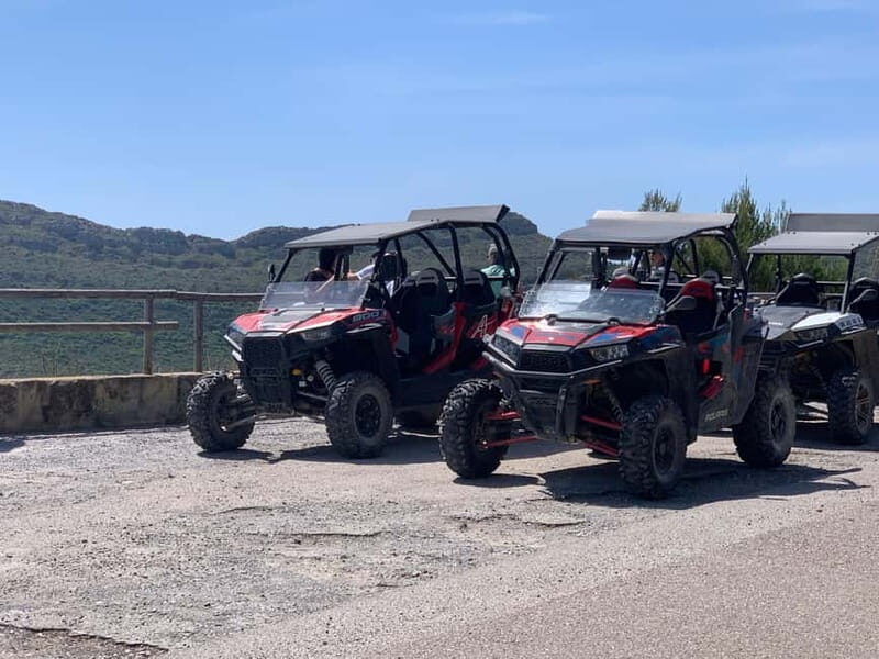 Cala Ratjada: Exclusive buggy tour also for families - What Makes This Buggy Tour Stand Out?