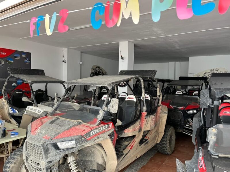 Cala Ratjada: Exclusive buggy tour also for families - Is This Tour Worth It?