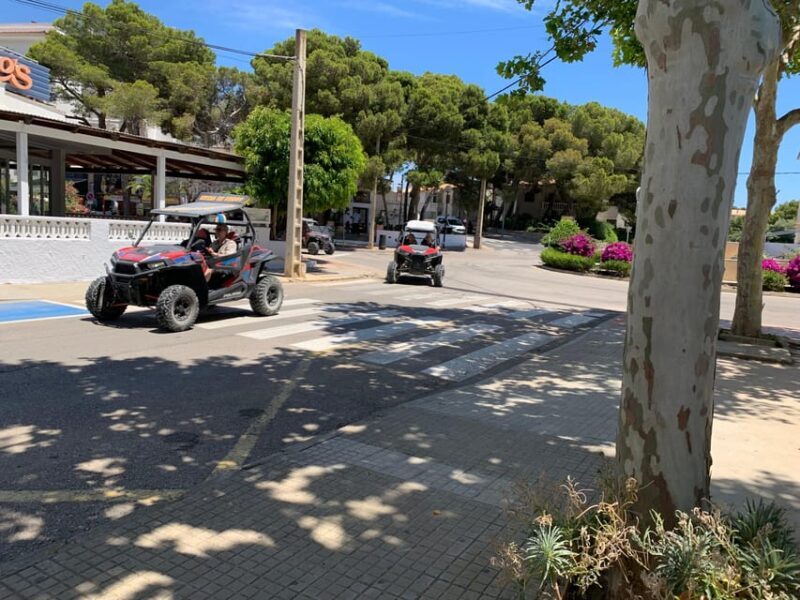 Cala Ratjada: Exclusive buggy tour also for families - Who Should Consider This Experience?
