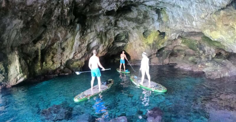 Cala Ratjada: SUP SAFARI TOUR 2H - Key Points