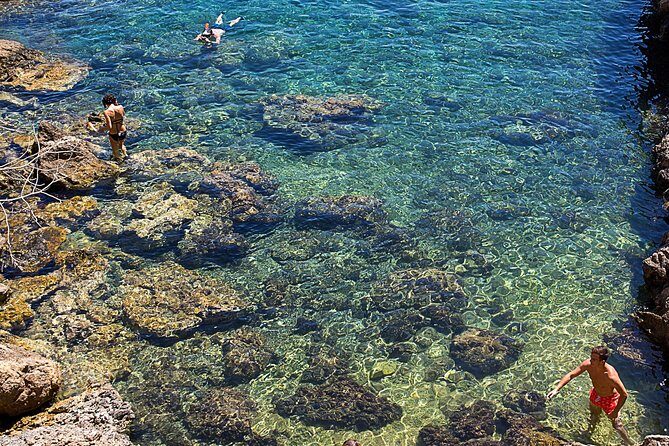 Cala Salada and Unspoiled North Beach Tour. Snorkelling and Aquarium - The Experience: Pros and Cons