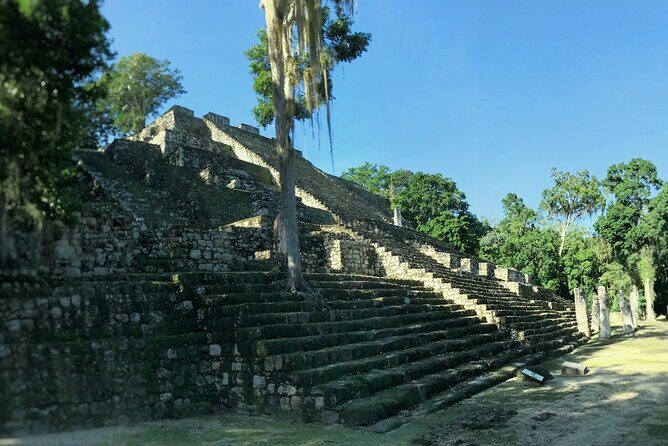 Calakmul, Ancient Maya City from Bacalar or Chetumal - A Deep Dive into the Tour Experience