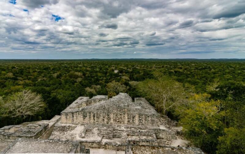 Calakmul Tour: Among Animals and Mayan History - Exploring Calakmul: A Deep Dive into the Jungle and the Past