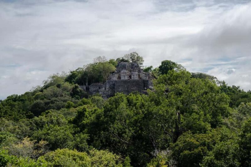 Calakmul Tour: Among Animals and Mayan History - Practical Tips for the Day