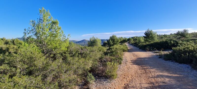 Calanques National Park: E-Mountain Bike with Virtual Guide - What to Expect During the Ride