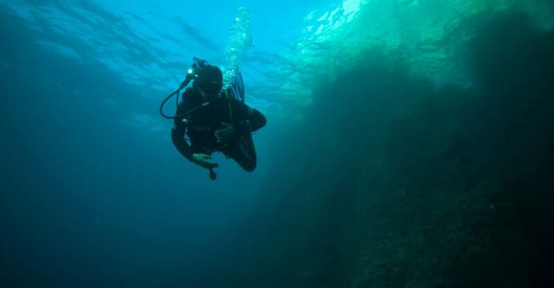 Calanques National Park Snorkel and Scuba Dive - The Snorkeling Experience