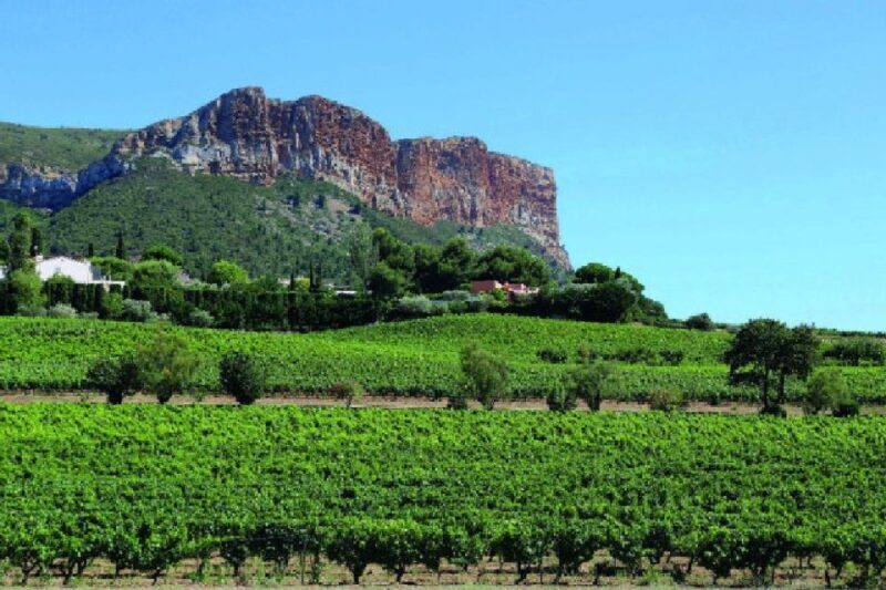 Calanques of Cassis, Aix-en-Provence & Wine Tasting Day Tour - A Sip of Provence: Wine Tasting