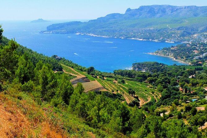 Calanques of Cassis, Aix-en-Provence & Wine Tasting Private Tour - The Experience in Detail