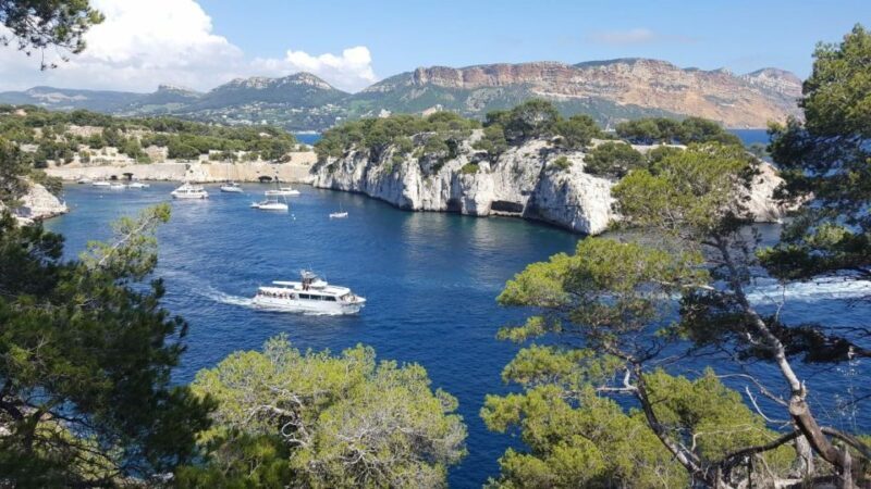 Calanques Of Cassis, the Village and Wine Tasting - Who Is This Tour Best For?