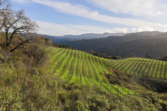 Calaveras and Tuolumne Digital Wine Tasting Pass - Practical Details and What to Expect