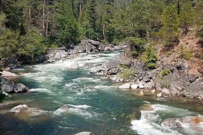 Calaveras Big Trees State Park Day Tour - A Practical Guide to the Calaveras Big Trees State Park Day Tour