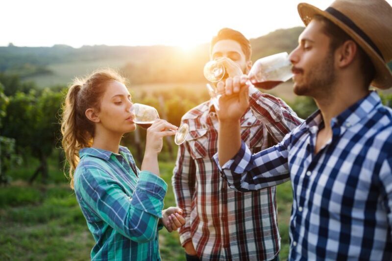 Calaveras/Tuolumne Digital Wine Tasting Passport - Exploring the Calaveras/Tuolumne Digital Wine Tasting Passport: A Detailed Review