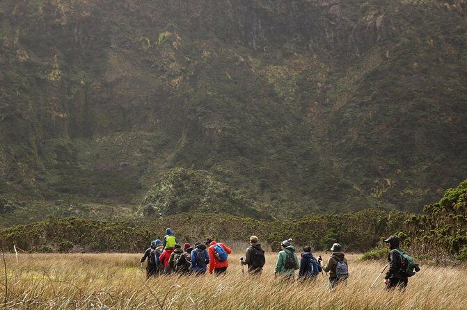 Caldeira do Faial Descent - private hiking tour - How the Tour Is Organized