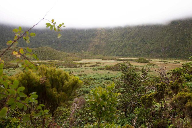 Caldeira do Faial Descent - private hiking tour - What Reviewers Say